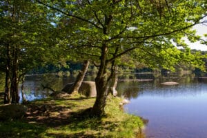 Randonnées dans le Parc naturel régional du Haut Languedoc